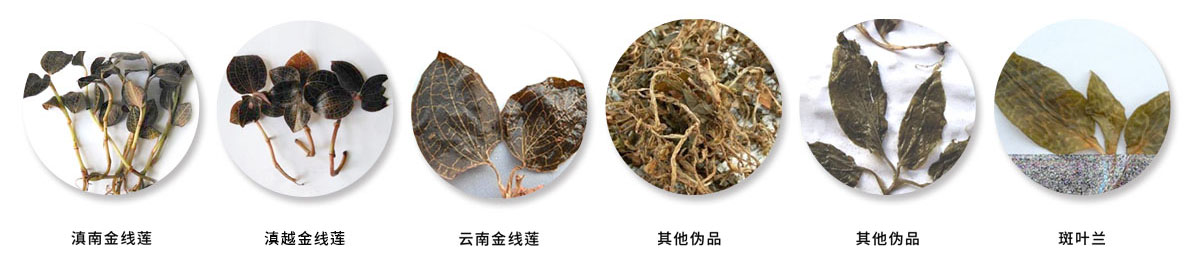 伪品.jpg