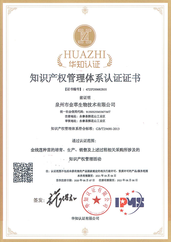 知识产权管理体系认证
