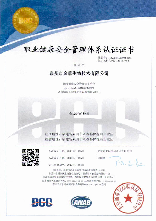 职业健康安全管理体系认证